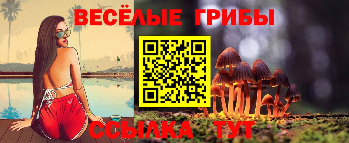 Трёхгорный  Псилоцибиновые грибы мицелий  Вход с VPN  Псилоцибиновые грибы Psilocybine cubensis 
